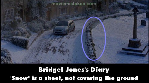 Bridget Jones's Diary mistake picture