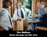 The Waltons mistake picture